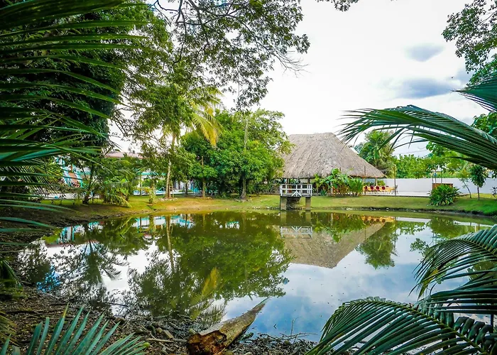 Drift Inn Cayo