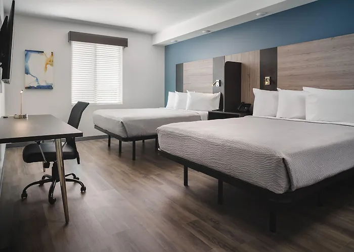 Stayapt Columbia-Irmo/Harbison
