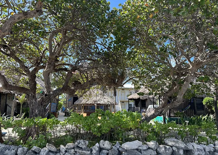Hotel Del Rio