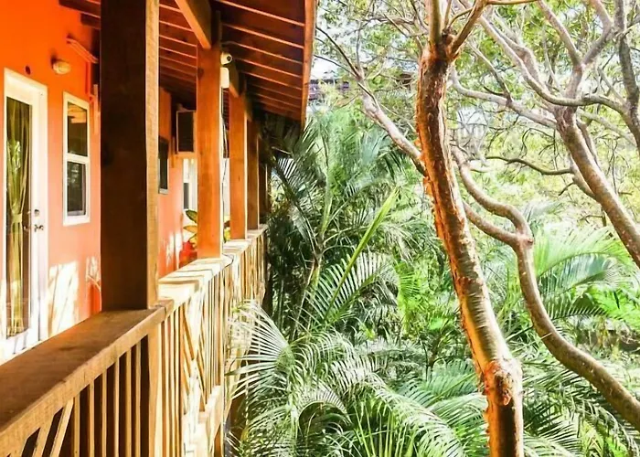 Hotel Posada Las Orquideas,West End