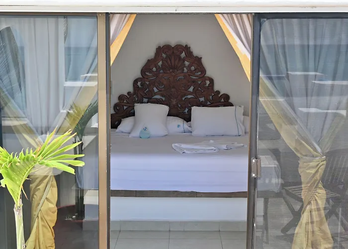 Pelicano Inn Playa Del Carmen - Beachfront Hotel