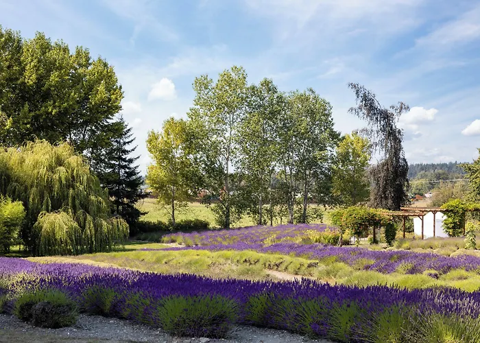 Holiday Inn Express Hotel & Suites North Sequim By Ihg