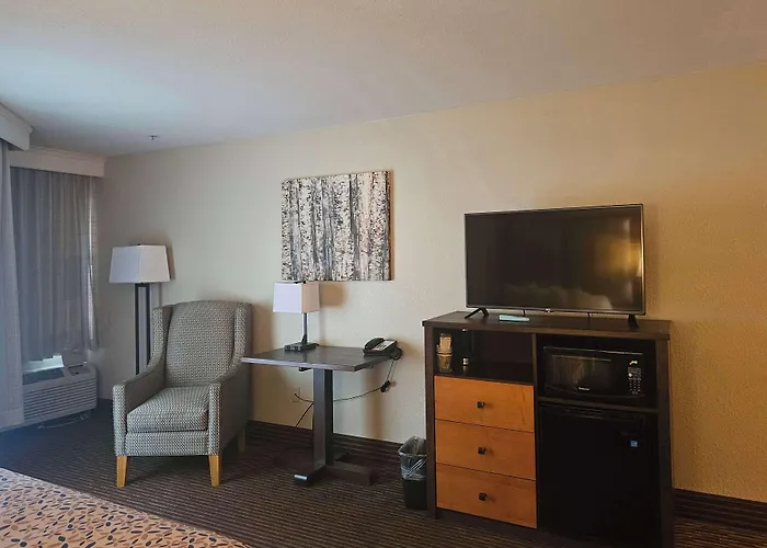 Americinn By Wyndham Birch Run - Frankenmuth