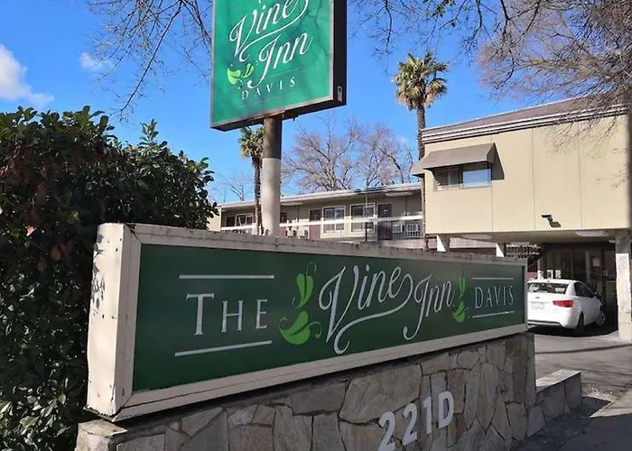 The Vine Inn Davis