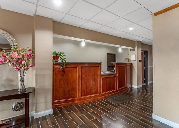 Comfort Inn & Suites Carbondale University Area