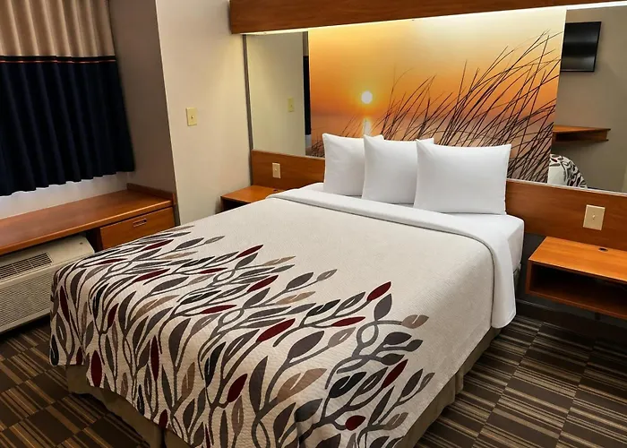 Red Roof Inn Port Charlotte - Punta Gorda