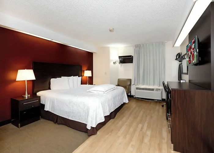 Red Roof Inn Plus+ Palm Coast