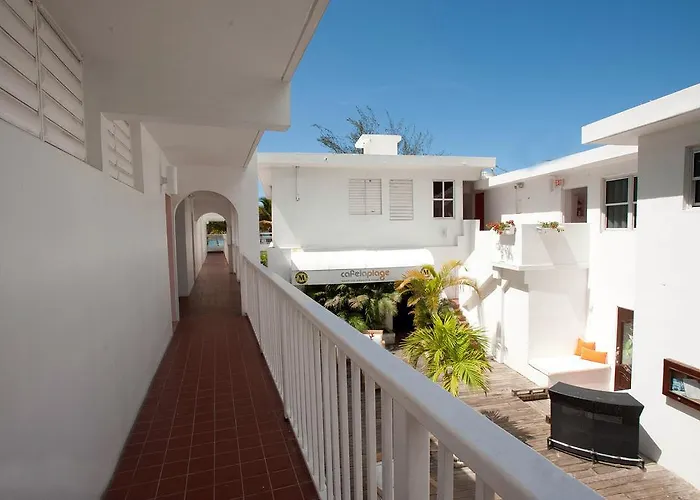 The Beach House Hotel