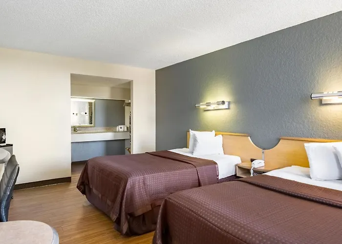 Econo Lodge Palm Harbor - Clearwater
