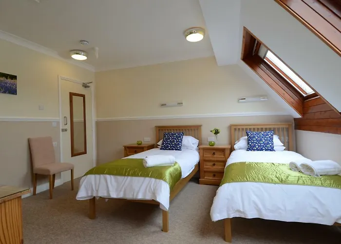 Neuadd Henllan Lodge