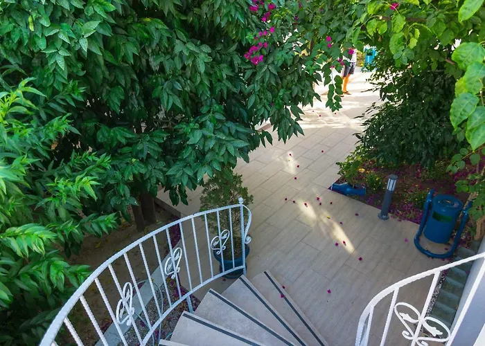 Cotton Boutique Hotel