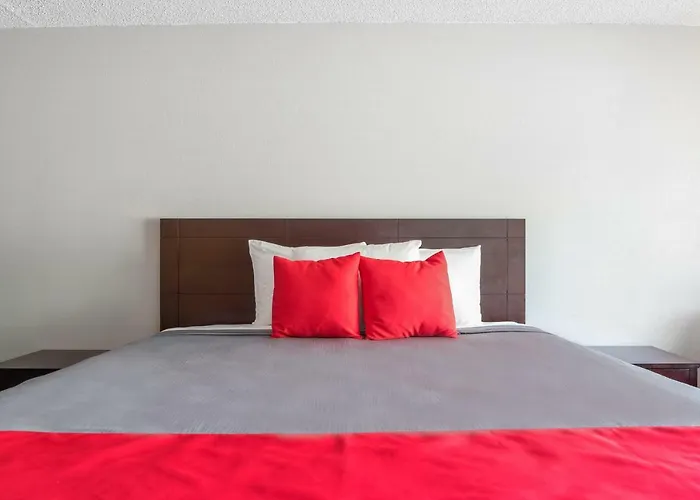 Bayside Inn Pinellas Park - Clearwater